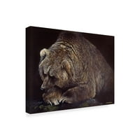 Prepoznatljiva likovna umjetnost medvjed u mraku na platnu Harro maasa