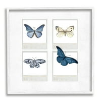 Stupell Cottage retro film leptiri životinje i insekti slikaju bijeli uokvireni umjetnički print zid umjetnosti