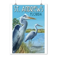 Sveti Andrija, Florida, plave čaplje