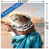 James Booker - zidni plakat mačke Aloha, 14.725 22.375
