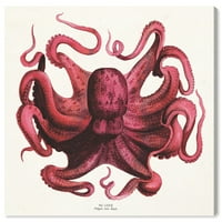 Wynwood Studio životinje zidne umjetničke platnene otiske 'polpo rosso' morske životinje - crvena, bijela